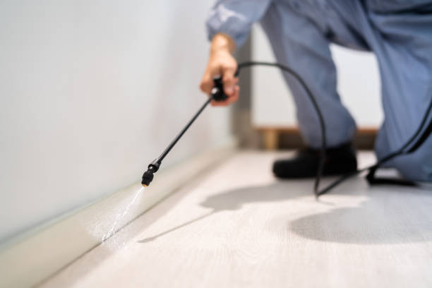 Licensed Pest Control service in Prudenville, MI - Show Me Pest Control