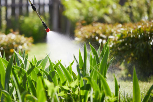 Tamper-Resistant Bait Stations for Rodents in Prudenville