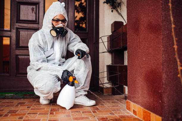 Attic and Crawl Space Rodent Treatment in Prudenville